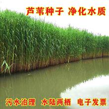 �JȔ�N�ӹ����o���JȔ�ݷN���ͺ��������޸����у���ˮ�|���ݷN��