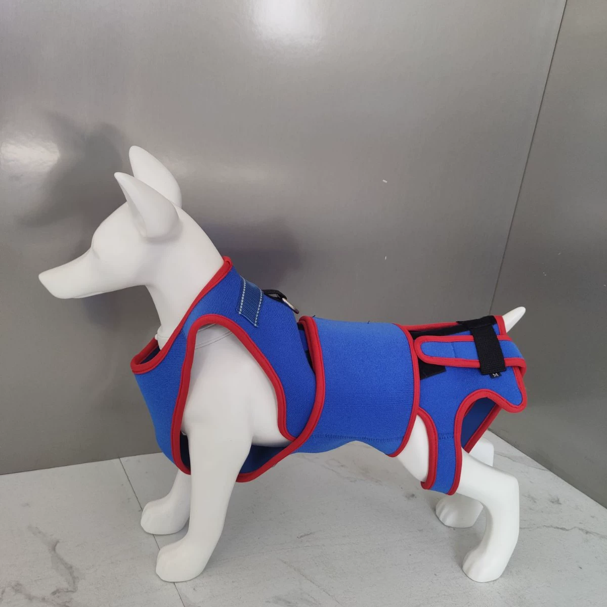 Профилактика привычек у домашних животных