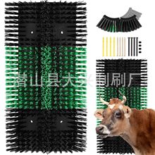 BӴܿţwˢ߅ĦWëˢ坍LͲDϴˢ