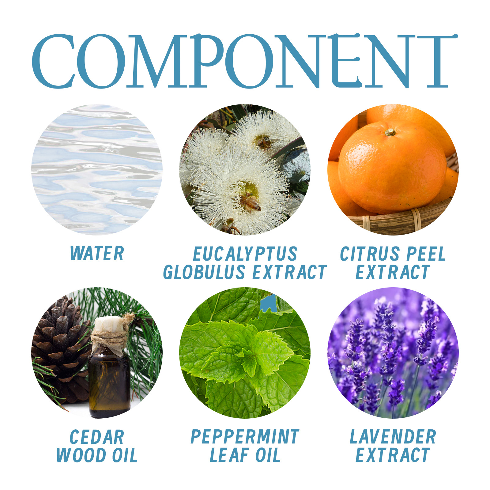 EELHOE Deodorant Cleansing Achselhöhle Fuchs Geruch, Schweiß, erfrischender und lang anhaltender Duft Körperpflegecreme_voghion.com