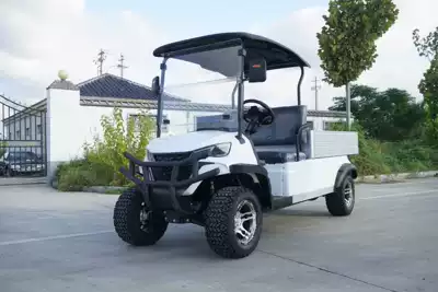 Electric Golf Cart 6-Seater 8-Seater Airport Shuttle Bus Hotel Accommodation Reception Tourist Attraction Sightseeing Vehicle (Elektrikli qolf avtomobilləri) - 2-seater-truck-hydraulic-support-model