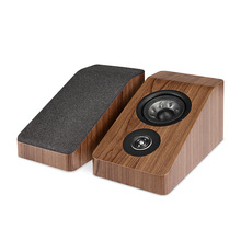 Polk/՘֮ R900 ȫ ͥӰԺh@푺ľɫo