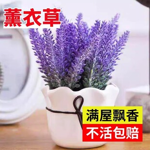 ޹�²����Ԏ������ֲ�������m������N�ļ��_���B���ܾW�t�ݾGֲ