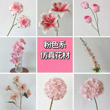 ɫϵcûƵ ·Żõ彑ٻ