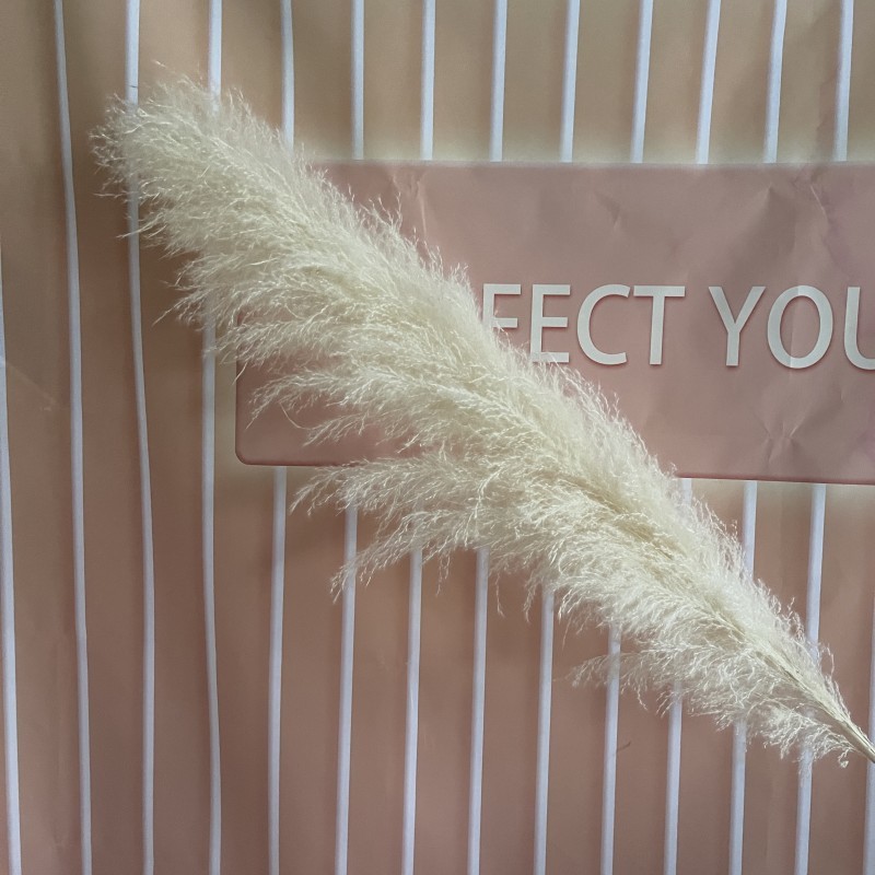 오프화이트 1.5m개