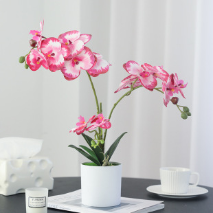 ��������m���Ԏ���͏d�b[��3D��ӡ�����m�����b���ֲ��