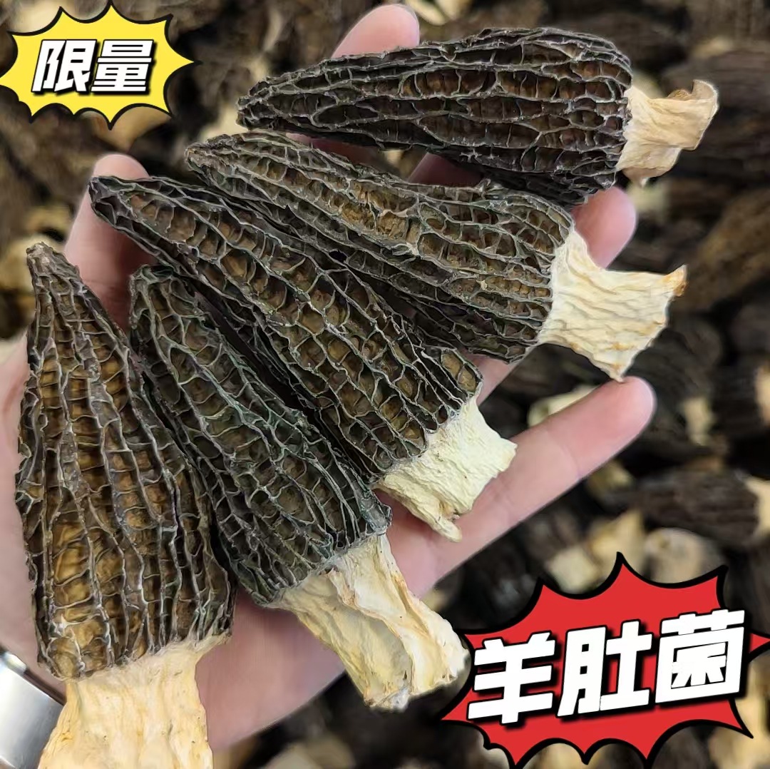 29236a0b019418284d82eddb1c5cbd