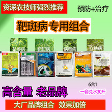 �������������ͪ�а߲�С�S�c�rș�������ײͽM���������l