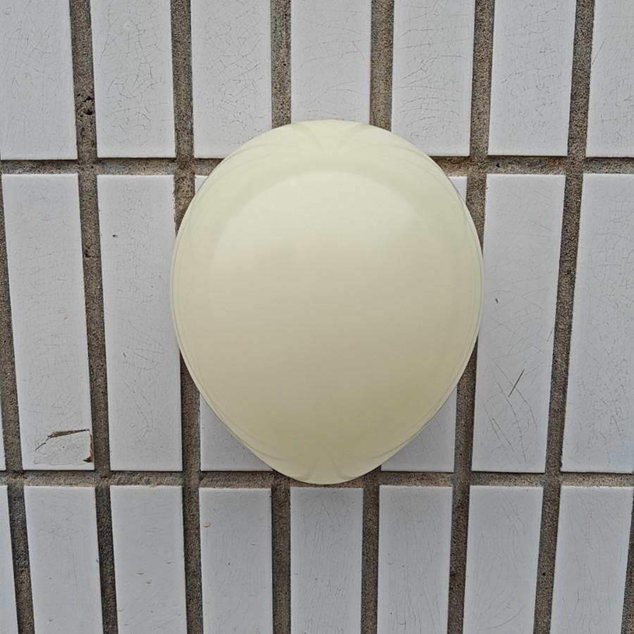 2024-11-15 12:53:14.jpg