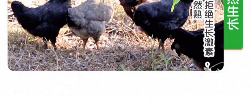 20c43f76-8244-406b-a2c1-baebe6cf9c35.jpe