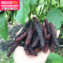 һ�����lɣ������Nˮ�����Ϸ������ļ����ԷNֲ̨���L��ɣ��ɣ�