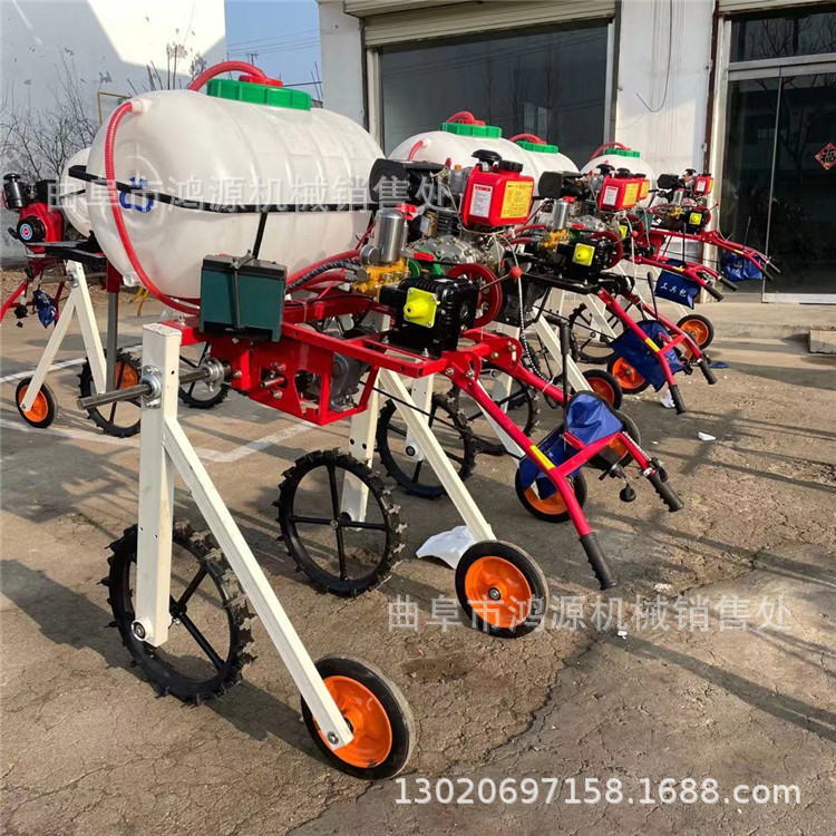 200升汽油消毒机 高架手推式打药机 农用手推式汽油打药机