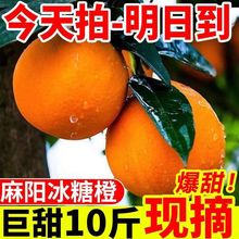 【爆甜】湖南冰糖橙薄皮橙子甜应季新鲜水果脐橙爱媛果冻橙包邮