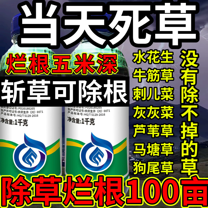 当天死草高浓度精草铵膦铵盐水花生牛筋草斩草除根杂草烂根除草剂