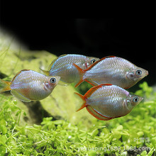 늹~wᎧ^p~ˮС~ݸ׌Ꭷ~^p~l