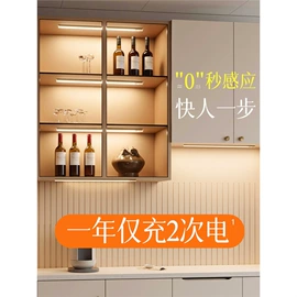 吊灯;LED灯带;室内壁灯