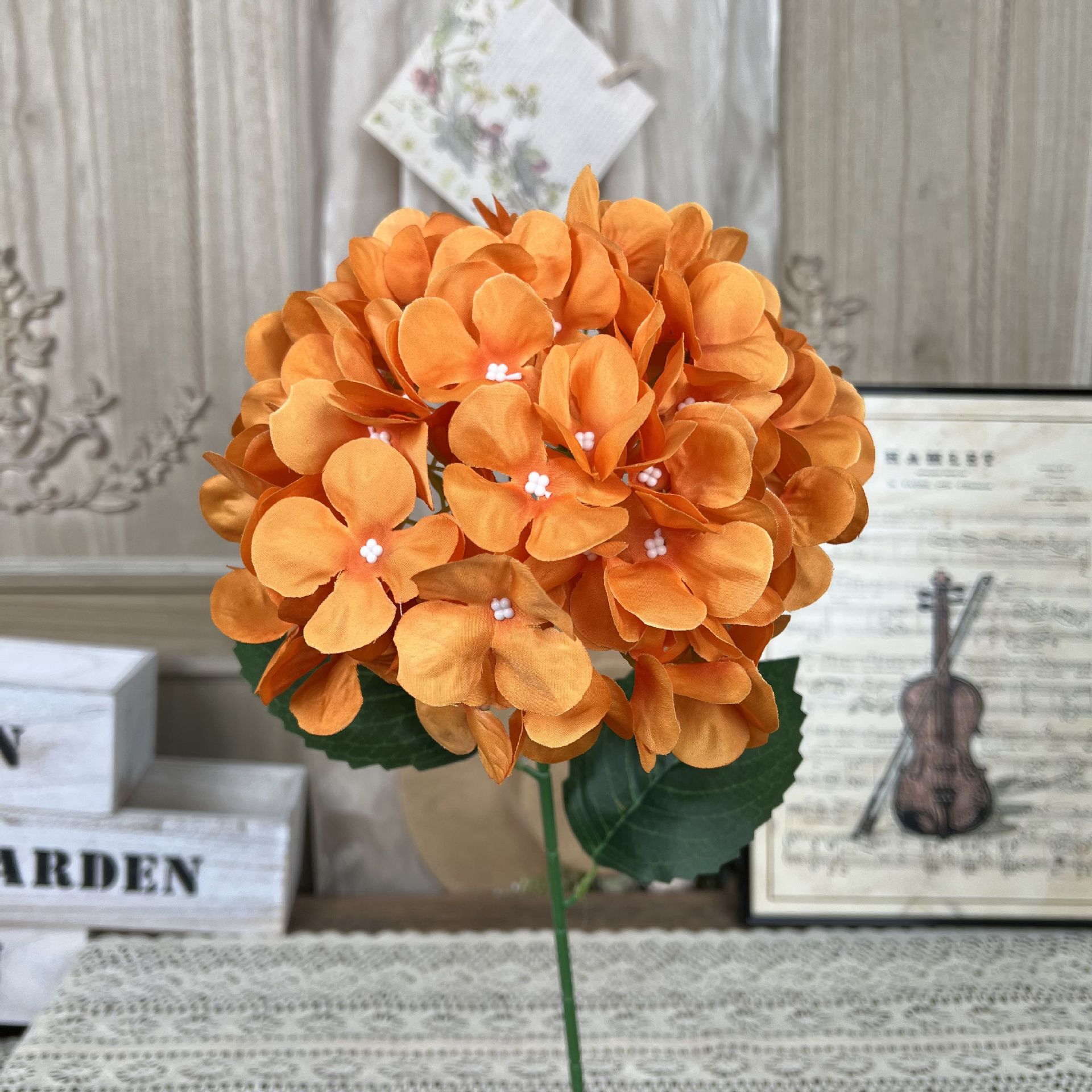 YG-싱글 롤리팝-오렌지