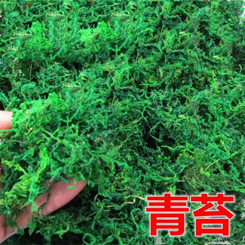 simulation moss and lichen Moss bonsai Green plant Flower pot Paved Decorative flowers Accessories Scenery Moisture Moss