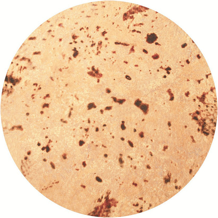 O1CN01us3RJf1nOgoOm0zxZ_!!3194