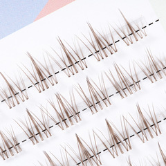 睫詩顏媽生焦糖色太陽花假睫毛大容量睫毛書透明梗夾心仙子眼睫毛