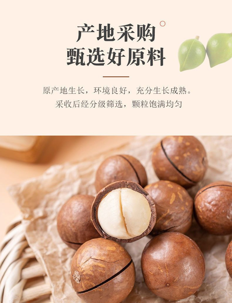 Macadamia Nuts 500g Bag Roasted Milk Flavor Snack Nuts with Opener quality and texture