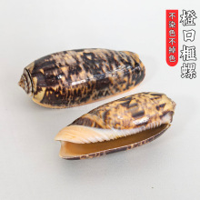 ��Ȼ�ȿ���ݺ����~���쾰��������˱��ղغ��ӶY��