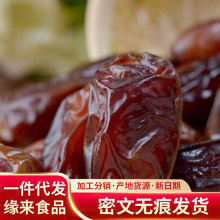 ���l��Ҭ�������خa500g���lɳĮ������ʳ�����ڗ��㗗����ʳ