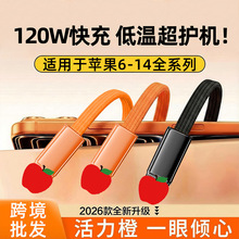 �����m���O��PD���늾�iPhone14/13/12/11x�֙C������120W�W�侀