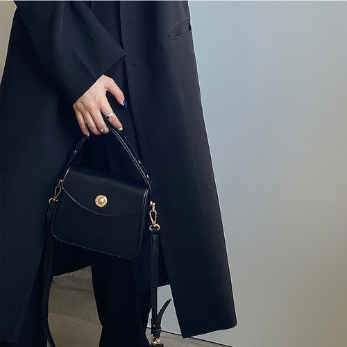 Bags for women 2024 early spring fashion versatile handbag Korean version ins niche crossbody shoulder bag armpit women's bag