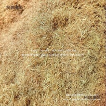 �ɵ����w�Sˮ���ն��Ž��B�۠��b��鵾�ݾG�������ൾ������̫��