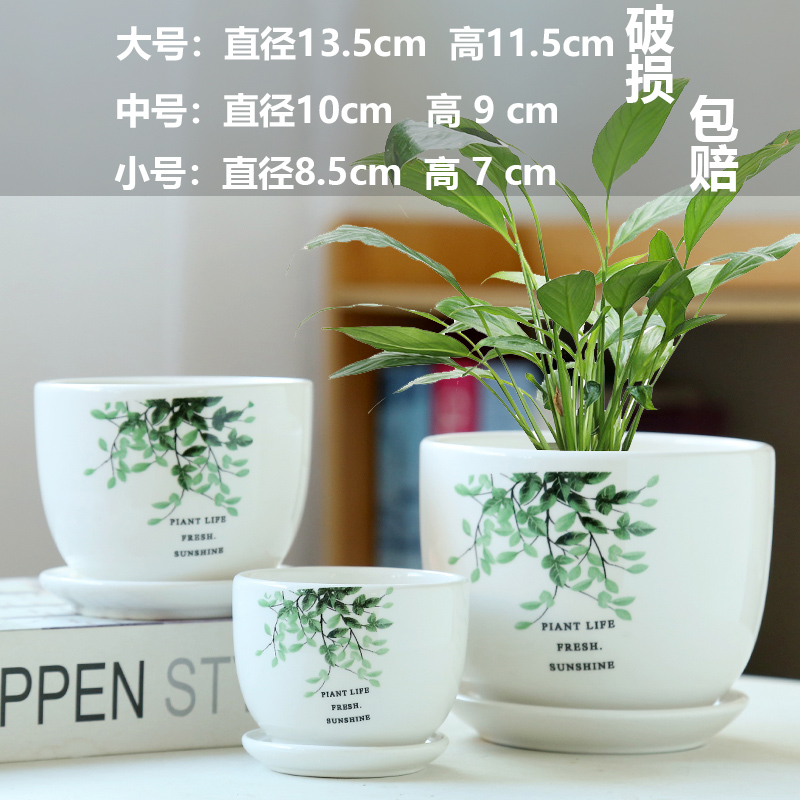 복지식 녹색잎풍화분 3종세트-세라믹-대형