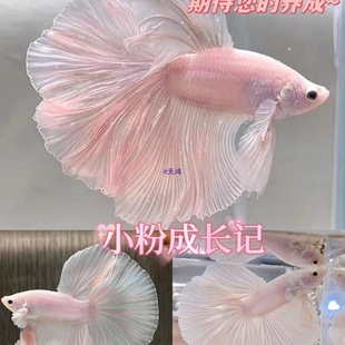 ̩�����~�鼆β�^�p�~��ˮ�~�Ꭷ�~����С������B�ͻ���]