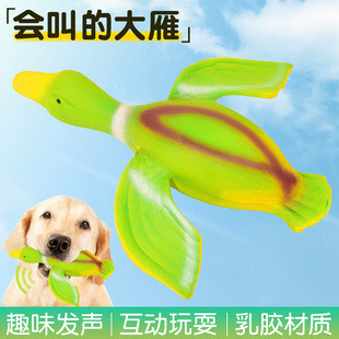 �羳��������z��߱���l�������Ȥζ�␞�K�����󹷹����