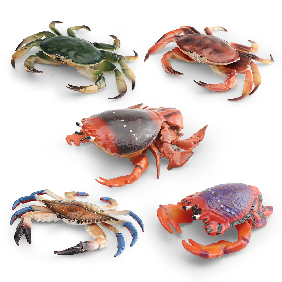 Amazon simulación animal marino cangrejo modelo pan cangrejo de tres ojos natación cangrejo decoración de escritorio adornos estáticos