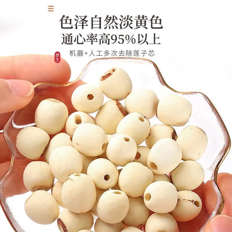 Lotus Seed (Nelumbo nucifera) — Fujian White Lotus Seeds, Core-Removed, Sulfur-Free Dried Food Herb details