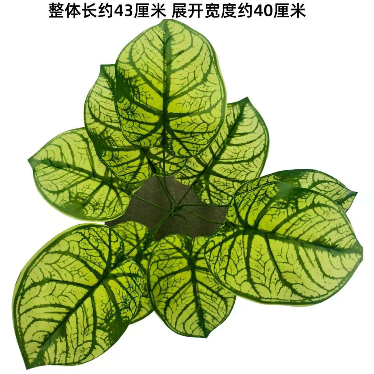 Nine-pronged large plant new model no. 25