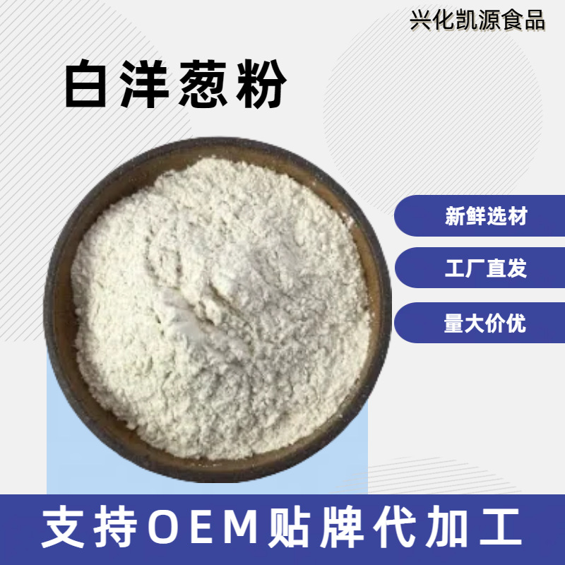 厂家批发脱水白洋葱粉黄洋葱粉烧烤撒料肉制品腌料调味粉量大优惠