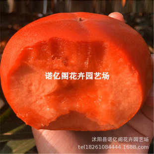 ̨�����������Ә�������������޽��ձ����������ϱ�������Y����