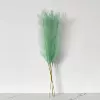 Grass green 55cm