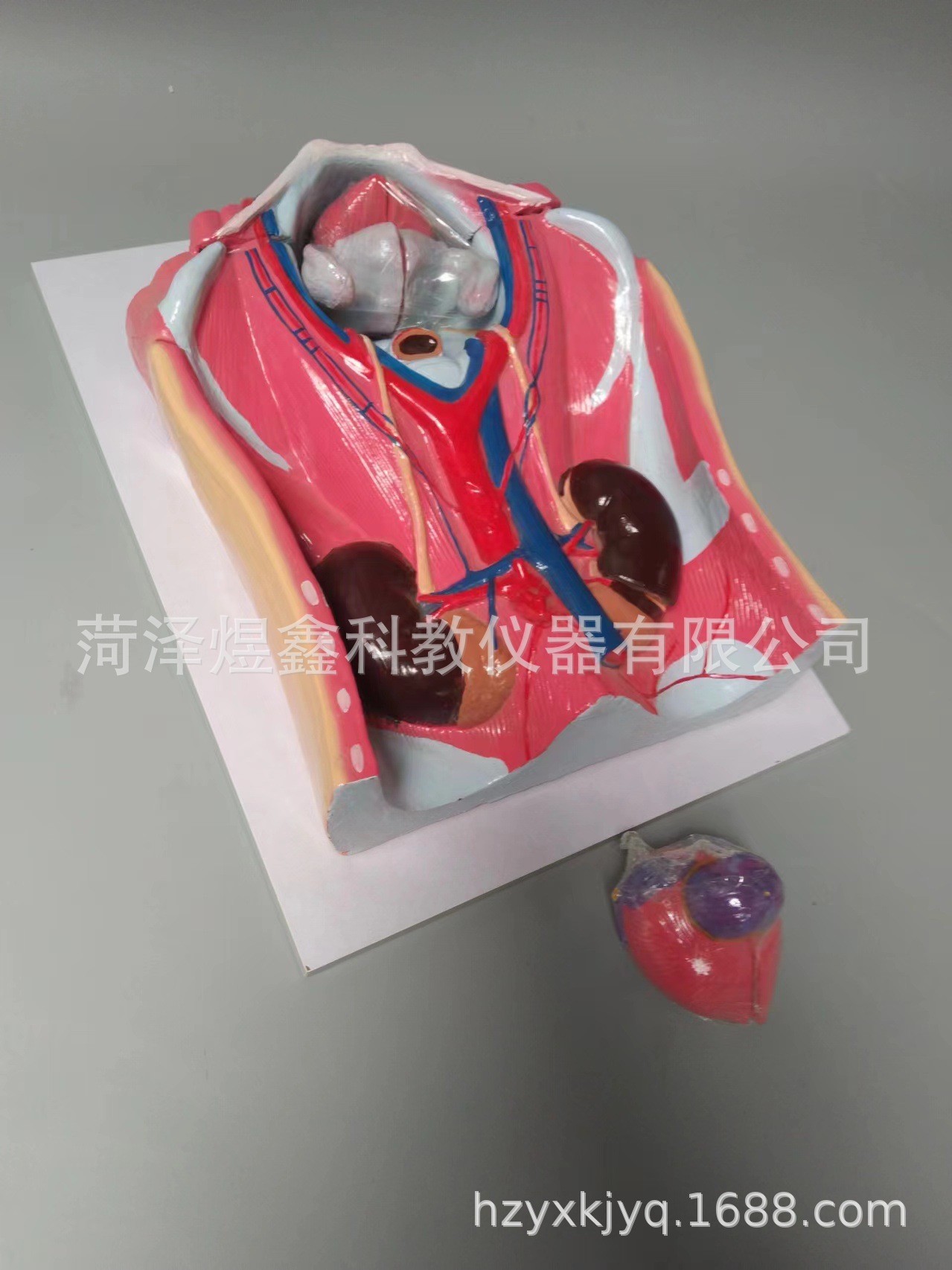 微信图片_20240528215821