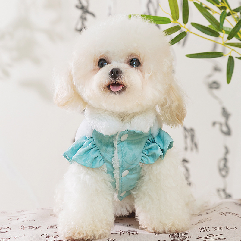 Otoño y invierno perros cheongsam chino Tang traje gato dos patas cálidas mangas volantes ropa de algodón de ciruela de Año Nuevo ropa de perro mascota