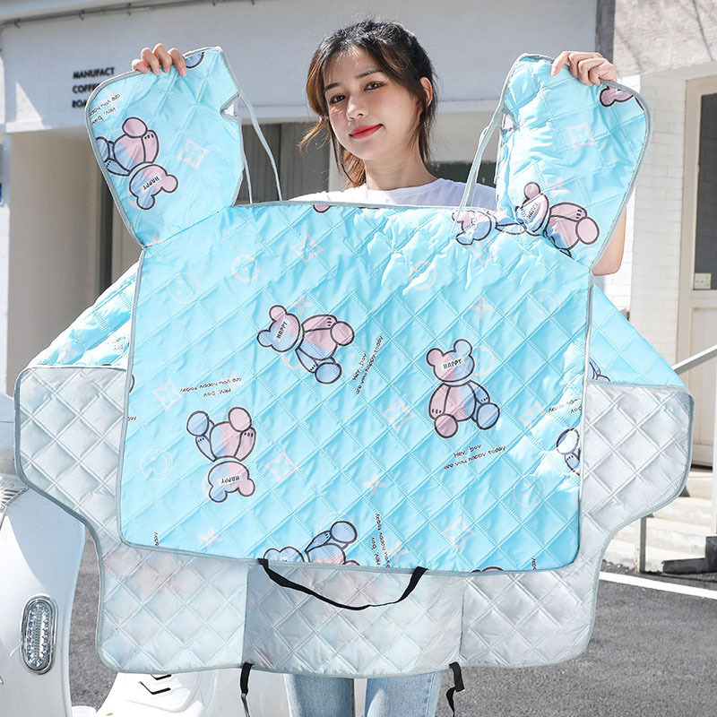 2색 곰 파란색 측면 날개