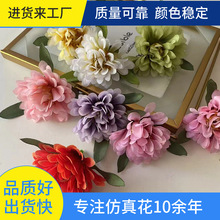 ���滨ĵ�����^�������ϼٻ�Сĵ���h��ĵ�������羳���^�l��仨