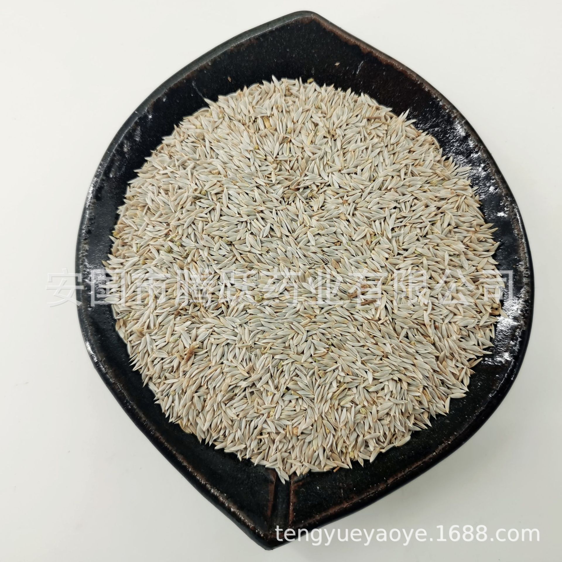 White Lettuce Seed Bai Sheng Cai Zi Raw Herb 1kg Bag Dried Seeds for Decoction and Tea quality and texture