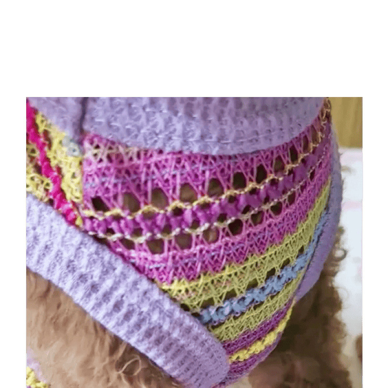 Ropa para perros mascotas gatos Teddy Boomerang pequeña princesa encantadora que oso hueco chaleco encantador puede ser traído