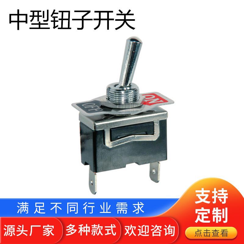 厂家销售中型钮子开关TS-1301P 量大优惠