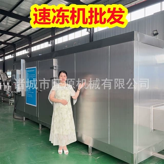 不锈钢IQF速冻机 鲜豆清洗流水线 板栗速冻机哪家便宜