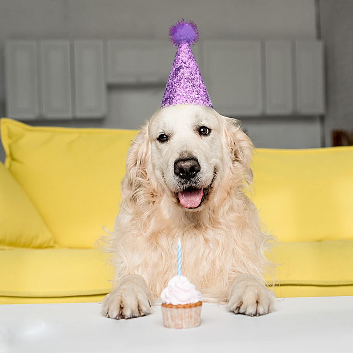 61NzQ8dNVXL._AC_SL1500_