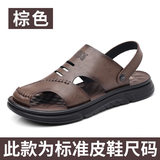 Màu nâu 55530