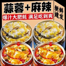 �����r�����^������������ʳ������ڴ������ʳ���b���r���